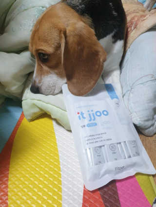 beaglelove님이 올린 리뷰 사진 1