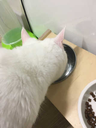 KyungHyeunPark님이 올린 리뷰 사진 2