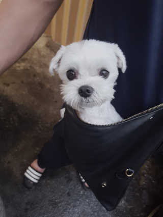 콩이님이 올린 리뷰 사진 3
