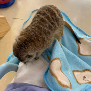 djejne님이 올린 리뷰 사진 2