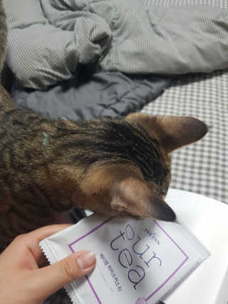김정년님이 올린 리뷰 사진 3