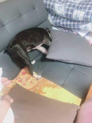 쥬녕님이 올린 리뷰 사진 4