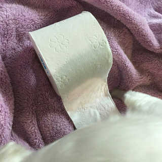 kwon님이 올린 리뷰 사진 2