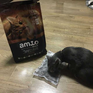 루시캐시님이 올린 리뷰 사진 2