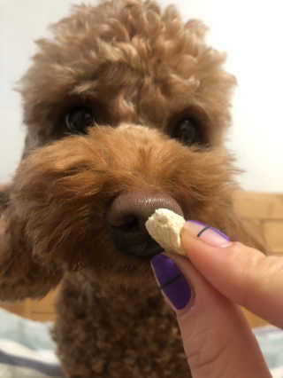 최블링님이 올린 리뷰 사진 2