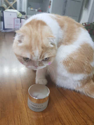 소피마르소님이 올린 리뷰 사진 2