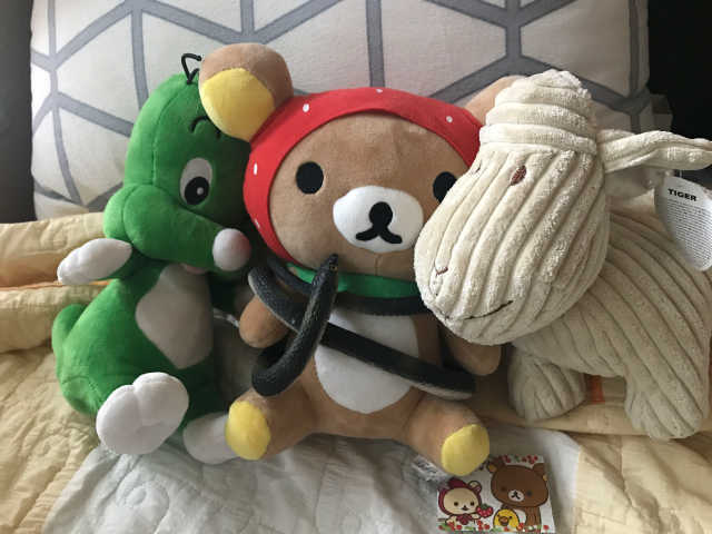 리얼 뱀 모형 (랜덤) 리뷰 사진