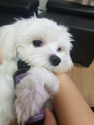 블링데코님이 올린 리뷰 사진 2