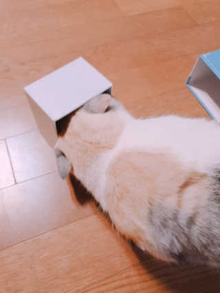 쿠쿠밍님이 올린 리뷰 사진 4