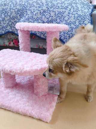 민한나님이 올린 리뷰 사진 1