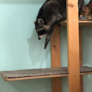 뚭잉님이 올린 리뷰 사진 3
