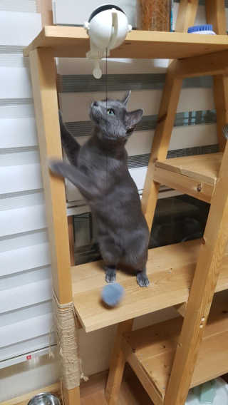 쿠로님이 올린 리뷰 사진 2