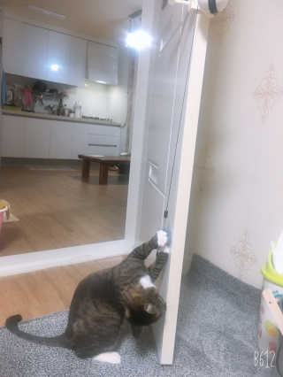 징니คʕ•ﻌ•ʔค님이 올린 리뷰 사진 3