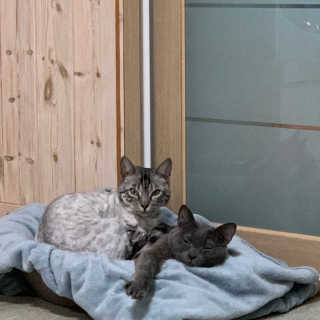 림링님이 올린 리뷰 사진 3