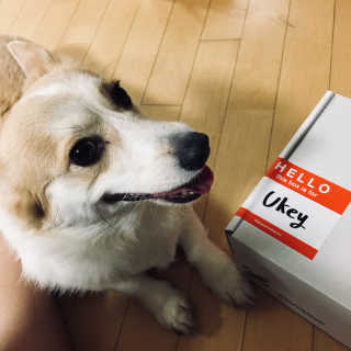 혀나님이 올린 리뷰 사진 2