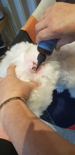 쏭님이 올린 리뷰 사진 3