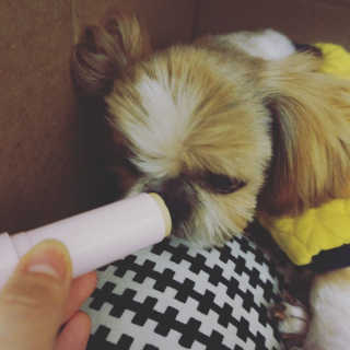 향이님이 올린 리뷰 사진 3