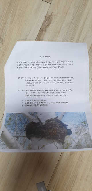 반짝이는별s님이 올린 리뷰 사진 3