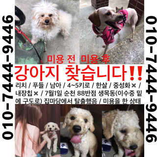 minahjjing님이 올린 리뷰 사진 4