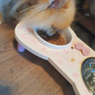 코튼캔디님이 올린 리뷰 사진 2