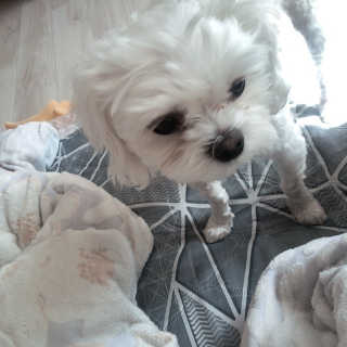 또잉님이 올린 리뷰 사진 3