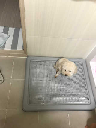 김태영님이 올린 리뷰 사진 1