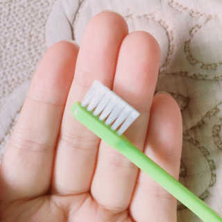 거져줄께잘사가님이 올린 리뷰 사진 1