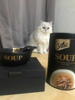 초초님이 올린 리뷰 사진 2