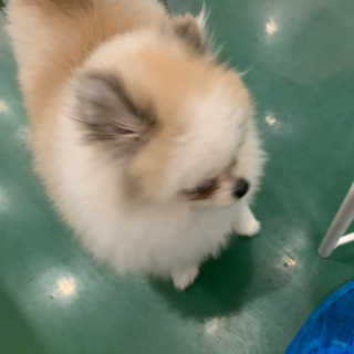 지넌이님이 올린 리뷰 사진 2