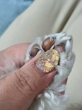 뚱이땅콩맘님이 올린 리뷰 사진 3