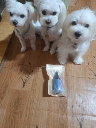 공팔리터님이 올린 리뷰 사진 1
