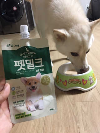[빙그레] 에버그로 생유산균 1봉（10포입）+펫밀크2팩 — 4.5점을 준 리뷰어가 2019년 5월 올린 사용 사진