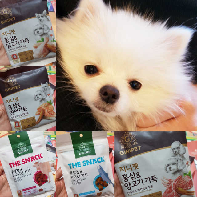 지니펫 가득가득패키지_사료와 간식 set 리뷰 사진
