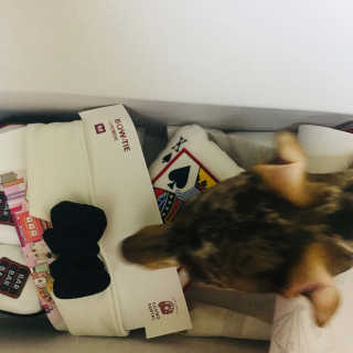 풀희띠님이 올린 리뷰 사진 2