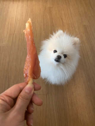 리디아은서님이 올린 리뷰 사진 1