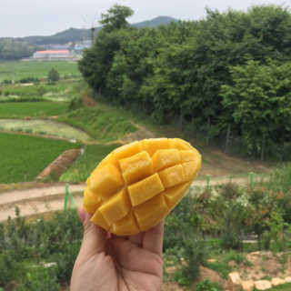 와칸다포에버님이 올린 리뷰 사진 1