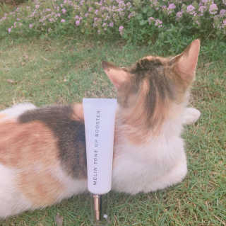 그레이멜린 멜린 톤업 부스터 — 4점을 준 리뷰어가 2017년 5월 올린 사용 사진