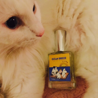 나살님이 올린 리뷰 사진 1