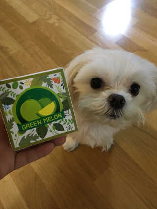 민콩님이 올린 리뷰 사진 1
