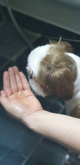 보라빗방울님이 올린 리뷰 사진 4
