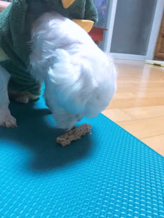 채꽃신님이 올린 리뷰 사진 4