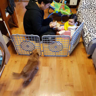 선유맘님이 올린 리뷰 사진 3
