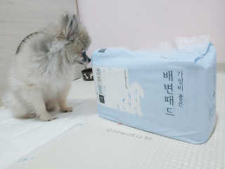 보람님이 올린 리뷰 사진 3