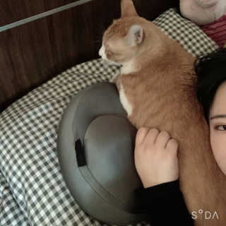 조이님이 올린 리뷰 사진 2