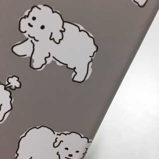 케이스웩 poodle , shell case — 4점을 준 리뷰어가 2016년 10월 올린 사용 사진
