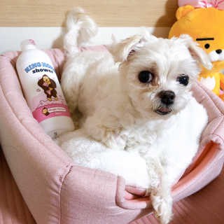 cherry님이 올린 리뷰 사진 3