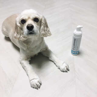 뽀니님이 올린 리뷰 사진 1