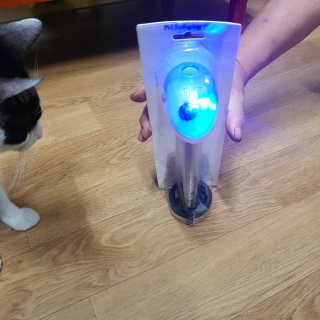 동그라미님이 올린 리뷰 사진 2