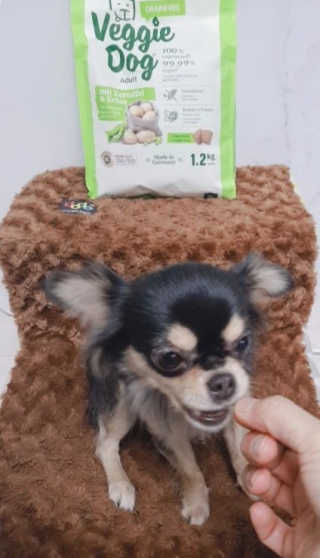 장형지님이 올린 리뷰 사진 4