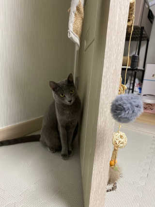 김대현님이 올린 리뷰 사진 1